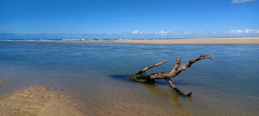 0 Bedroom Property for Sale in Gamtoos Mouth Eastern Cape